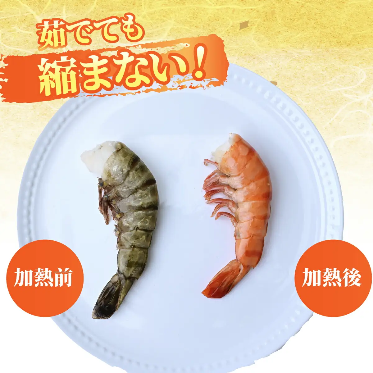 ブラックタイガー海老 魚兵水産こだわり 10尾10パック | エビ えび 茨城県ひたちなか市