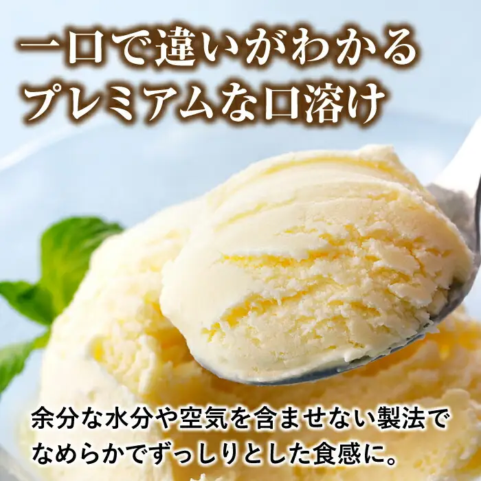 プレミアムアイスクリーム（12個入り） 【cafe du glace】 [ATCL003]