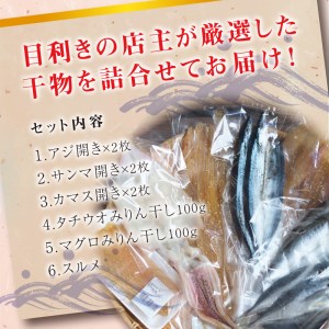 厳選干物 6種セット 創業80年！地元で愛される人気の干物 Bセット（アジ開き×2枚、カマス開き×2枚、サンマ開き×2枚、タチウオみりん干し×100g、マグロみりん干し×100g、スルメ） ひもの【sio101A】