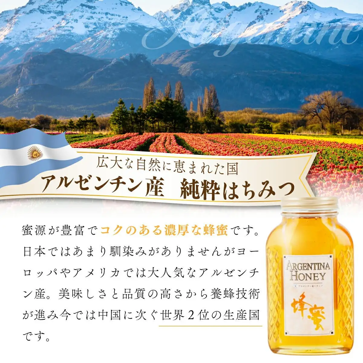 アルゼンチン産｢純粋蜂蜜｣ 800g･ウクライナ産｢純粋蜂蜜｣ 800g C-519
