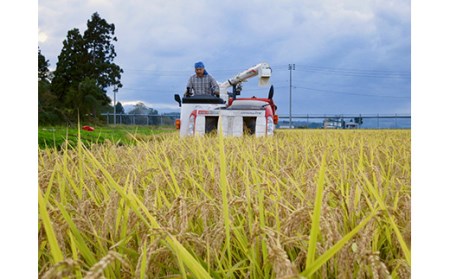 【先行予約】令和7年産 よっしーの超こだわり米(農薬不使用) コシヒカリ （玄米）5kg こしひかり 米 お米 おこめ 山形県 新庄市 F3S-2497