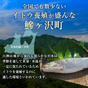 イトウ 幻の魚 うす造り 青森県産 イトウ【170g×2パック】【冷凍】