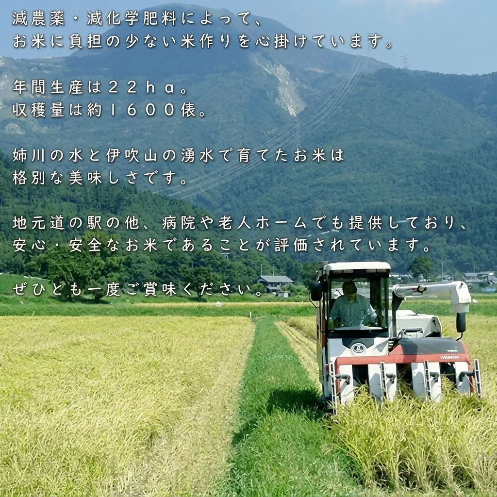 【令和6年産新米】伊吹の食卓米 20kg×3回お届け お米 コシヒカリ 