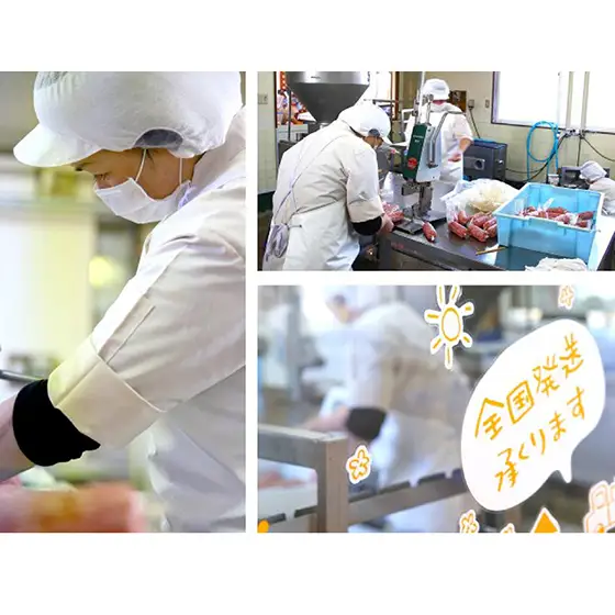 伊吹ハム 山椒ソーセージ ウインナー 豚肉 伊吹ハム 【3本セット】