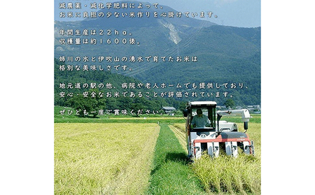 【令和6年産新米】伊吹の食卓米 10kg お米 コシヒカリ 