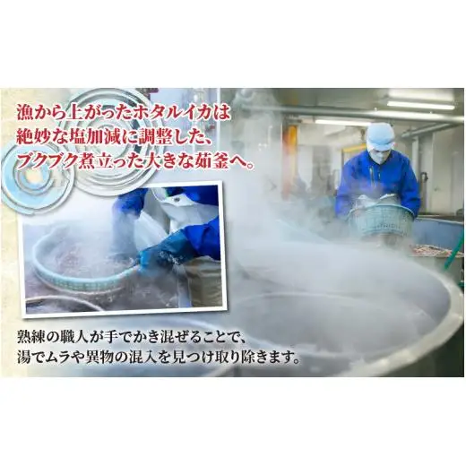 【先行予約】ボイル ほたるいか【27年3月中旬以降発送】 カネツル砂子商店 