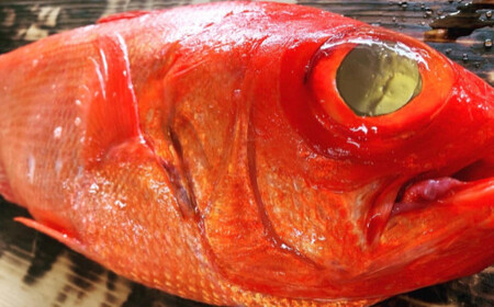 ≪土佐沖獲れ≫　高級魚『金目鯛』まるごと２匹（冷蔵）