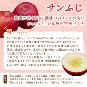 江刺りんご サンふじ 約2.5kg 贈答用 化粧箱入 [AQ007]