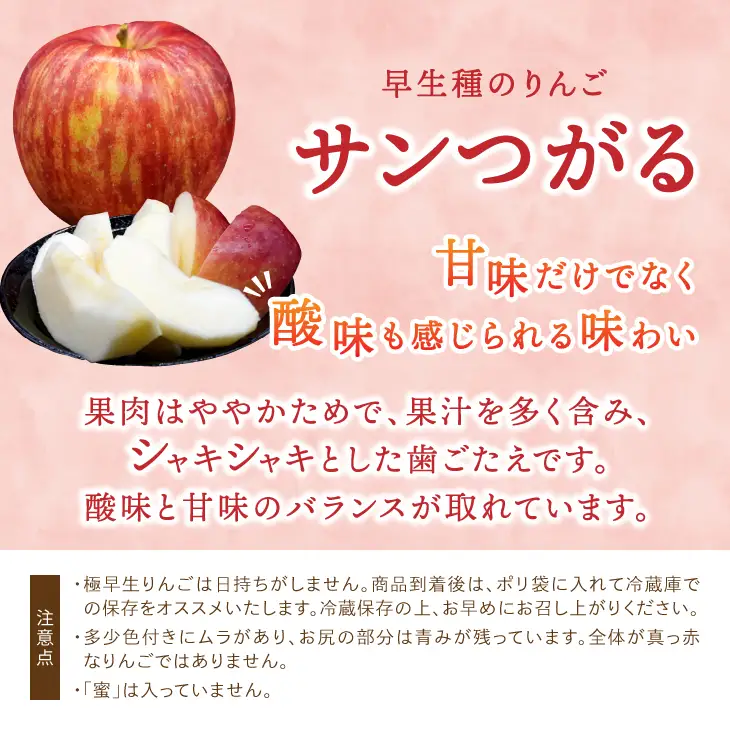 数量限定 江刺りんご サンつがる 5kg(16～20玉) 【9月中旬以降お届け】離島配送不可 [AQ022]
