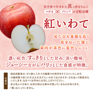 数量限定 奥州市産りんご 紅いわて 5kg(14~20玉) 【10月上旬以降お届け】離島配送不可 [AQ024]