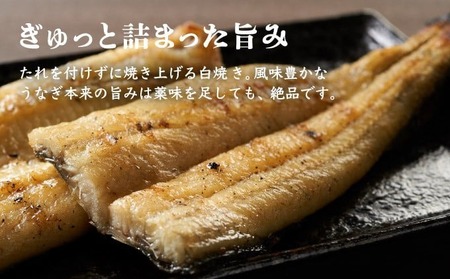 うなぎ白焼き 2尾 定期便 6回 うなぎ yj053