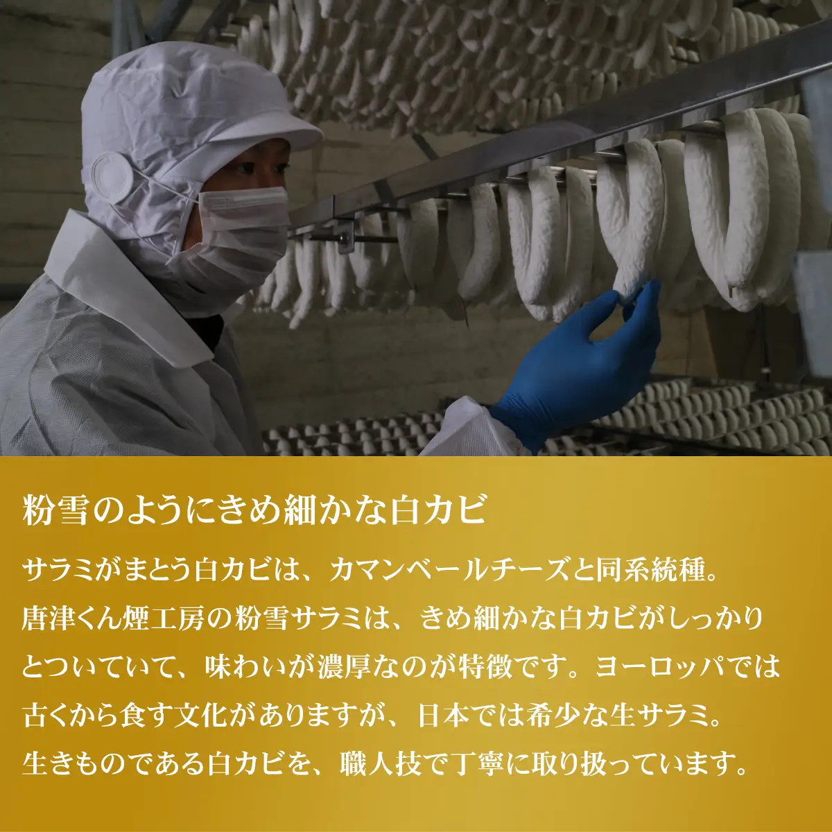 白カビの力で1カ月熟成させた希少な絶品サラミ【冷凍】