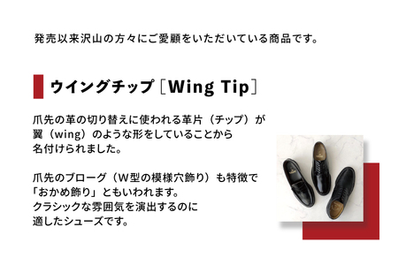 REGAL 2589 NT ウイングチップ ブラック 24.5cm リーガル ビジネスシューズ 革靴 紳士靴