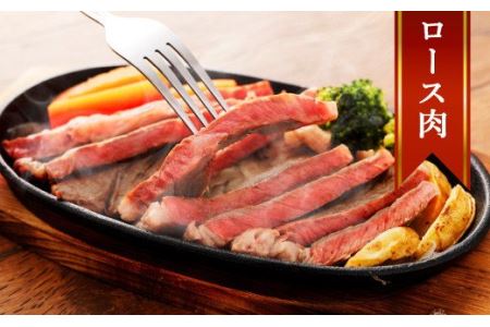 【定期便 10ヶ月】熊本産 あか牛 ステーキ ヒレ 700g ロース 800g