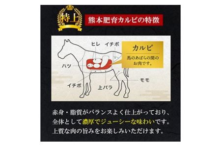 特上 馬 カルビ 合計500g 100g×5パック 刺身 焼き肉 馬肉