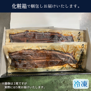 静岡県産 うなぎ 長焼き 140g 5尾 (a40-098)