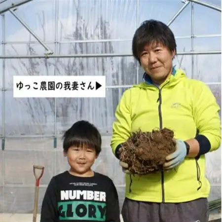 【2026年10月下旬発送開始】農家直送　土付き里芋(大和早生)2kg_野菜  いも イモ 芋_【1233439】