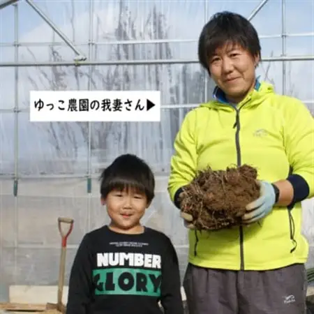 【2026年10月下旬発送開始】農家直送土付き里芋(大和早生)5kg_野菜  いも イモ 芋_【1233441】