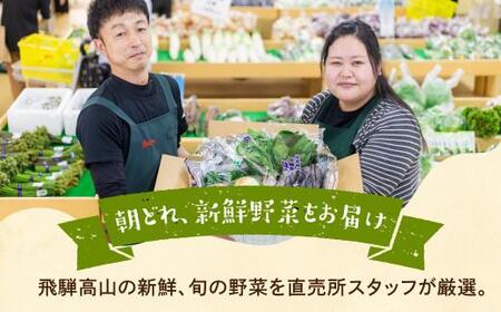 【令和8年産】（2026年6月中旬～10月下旬順次発送予定）飛騨の野菜お任せセット 7～9品目 | セット 野菜 夏野菜 秋野菜 やさい おまかせ お取り寄せ 新鮮 産地直送 飛騨産 夏 秋 サラダ 飛騨高山 あじかファミリー GN001-26