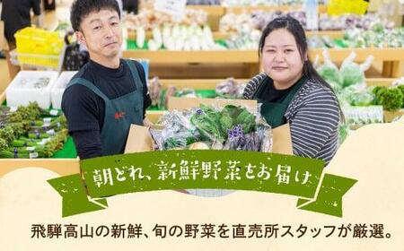 【令和8年産】（2026年6月中旬～10月下旬順次発送予定）飛騨の野菜お任せセット 6～7品目 |  セット 野菜 夏野菜 秋野菜 やさい おまかせ お取り寄せ 新鮮 産地直送 飛騨産 夏 秋 サラダ 飛騨高山 あじかファミリー GN002-26