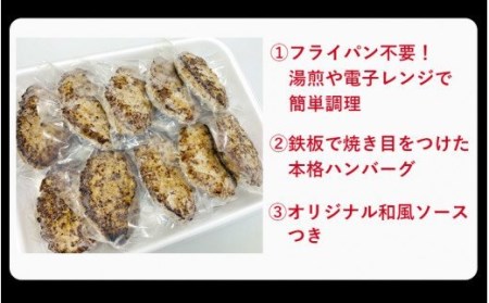おおいた和牛と大分県産豚を使った大分プレミアムハンバーグたっぷり1.6kg！（160g×10個）_1821R