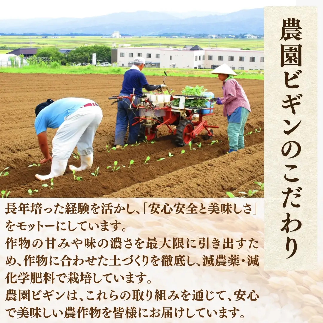 【令和8年産 先行予約】 昔ながらの魚沼産コシヒカリ 従来品種 精米 5kg 農園ビギン|おこめ 5キロ 特A評価 小千谷市 コシヒカリ