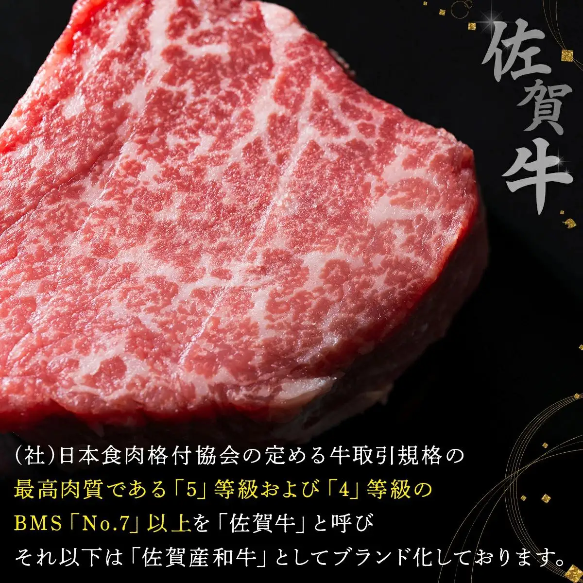 佐賀牛ステーキセット H-176