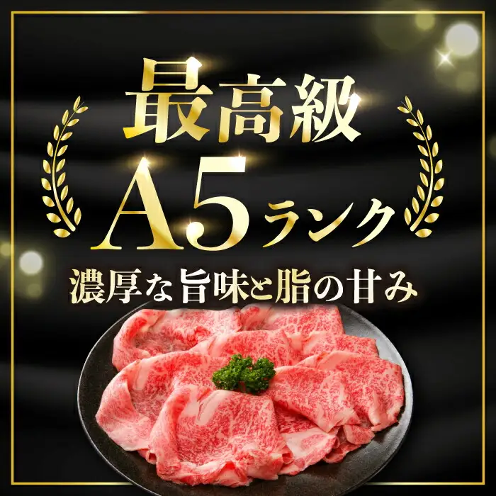牛肉切り落とし スライス 700g[NA37] 牛肉切り落とし