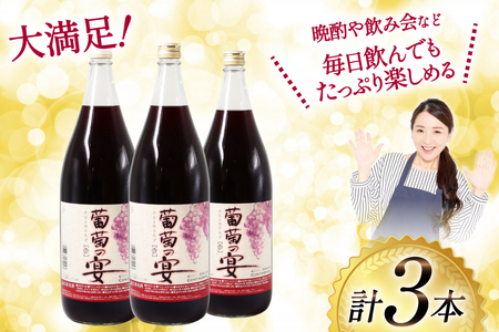 ワイン 赤ワイン 葡萄の宴 1.8L×3本