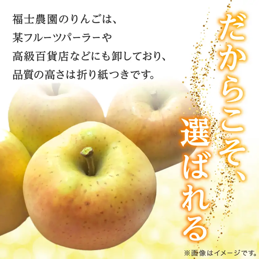【希少品種】「きみと」約3kg・糖度14度以上保証・訳あり家庭用りんご_果物・フルーツ りんご  リンゴ 林檎_【配送不可地域：離島】【1098511】