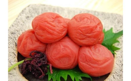 徳用　しそ漬梅１．５ｋｇ【紀の里食品】【kns014A】