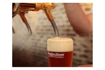 ナギサビールの定番商品2種（330ml×30本）飲み比べセット  / ビール お酒 酒 クラフトビール【ngs004】
