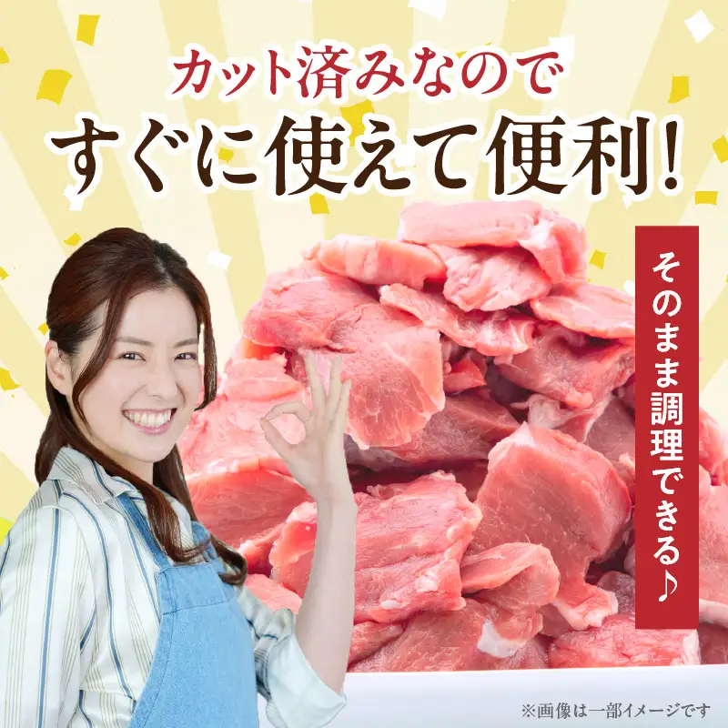 豚肉 宮崎県産 ヒレ 3kg 豚肉[とんかつ 500g×6P]