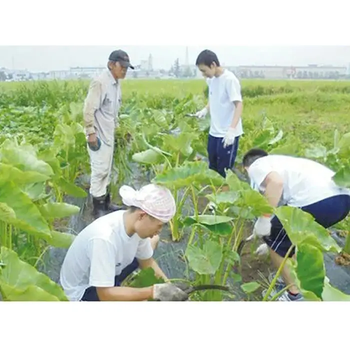 私立高校生の修学支援事業（返礼品なし) F2Y-9467