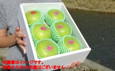 届いてすぐに食べられる 完熟 温室 水晶 文旦 5～6玉［1404-3］