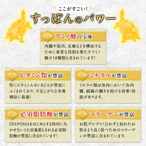 すっぽん鍋 鍋セット 2人前 食べ方のしおり付 すっぽん鍋