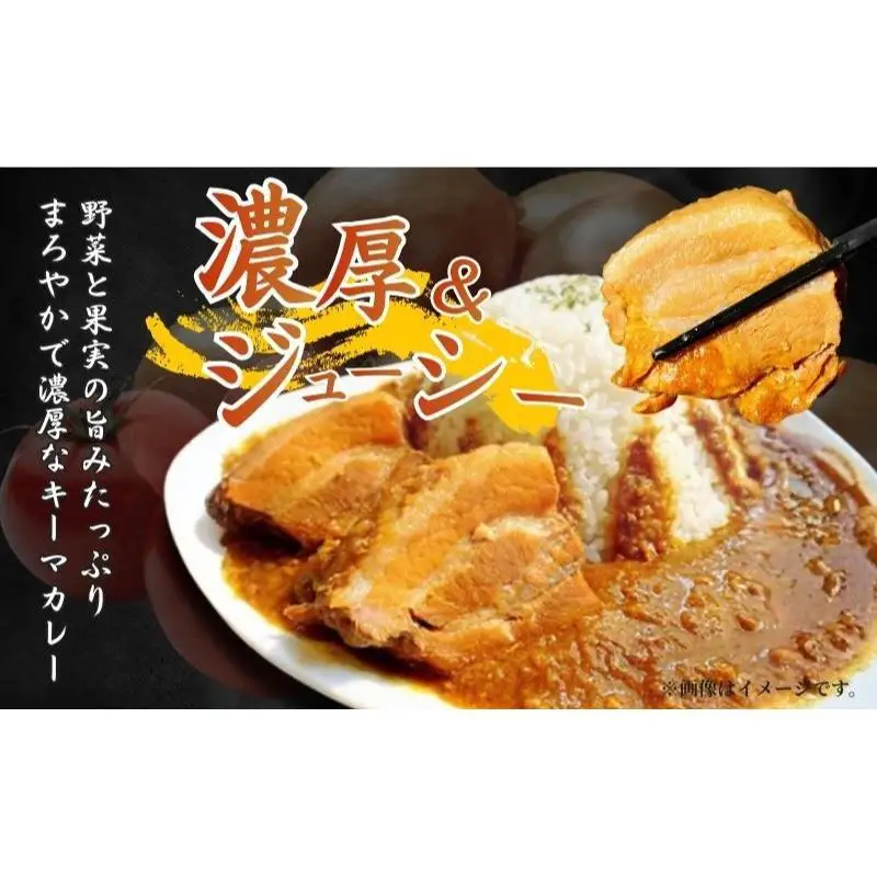 富士山角煮キーマカレー5食セット 加工品 惣菜 冷凍 