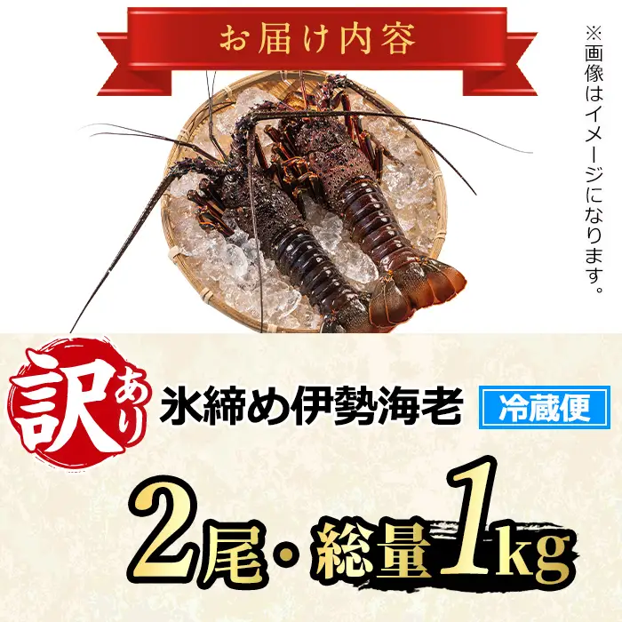 伊勢海老 ＜訳あり＞ 氷締め 2尾 総量1kg以上  伊勢海老 【江川商店】 【0343207a】