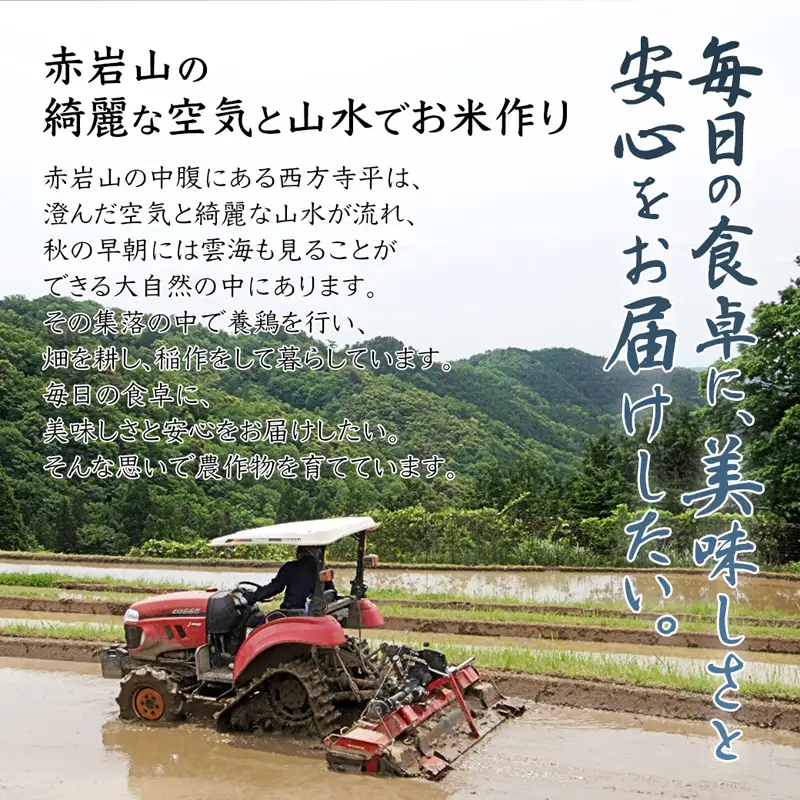 令和8年度産 新米 予約受付 棚田米 5kg 精米 コシヒカリ 特別栽培米 7割削減  白米