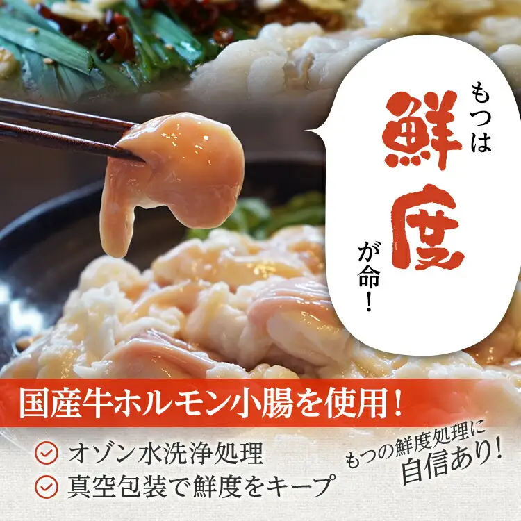 もつ鍋 計1kg 国産 味噌もつ鍋