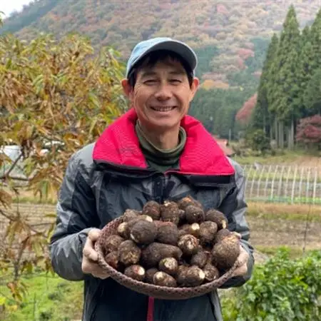 日本三大芋煮の里、津和野の大地で育てた泥付き里芋850g×2袋【1235627】