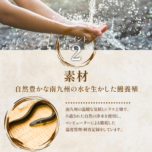 うなぎ ハーフ きざみ 約560g 鹿児島県産 うなぎ IB020-005