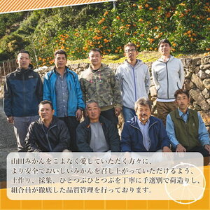 【2026年先行予約】山田みかん 秀品 約5kg (S・M・Lサイズいずれかおまかせ)_AM6001n