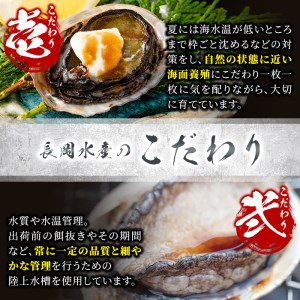 あわびバターステーキ（九州醤油味）8個入り_nagaoka-587