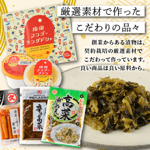 2027年発送 訳あり 完熟 マンゴー 約1.6kg 3～6玉 果物 IB016-002