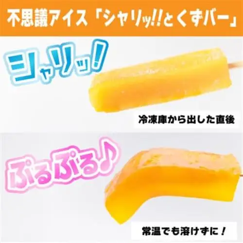 シャリッ!!と葛バー(20本セット)　葛アイス_菓子・スイーツ アイス・ジェラート  _【配送不可地域：離島】【1421300】
