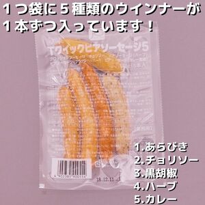 クイックビアソーセージ5 合計2.5kg（125g×20袋）ウインナー 5種類 100本  あらびき 黒胡椒 ハーブ チョリソー カレー 食べ比べ おかず 惣菜 小分け 個包装 冷凍 大容量 業務用 日東ベスト 　031-D-NB003