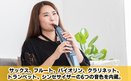 シンセサイザー エアロフォンミニ 楽器 シンセサイザー
