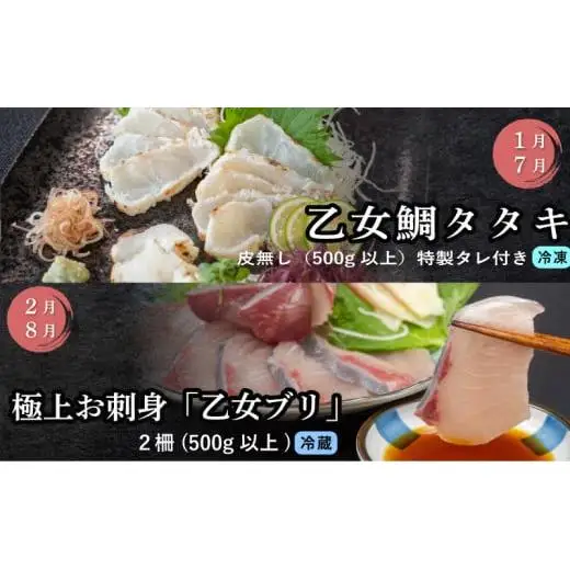 刺身 定期便 6ヶ月 