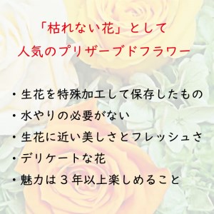 FH015_ ダブルハート 2つのハートが印象的なバラアレンジ【ピンク】誕生日 母の日 父の日 お祝い 花 プレゼント ギフト 愛妻の日 いい夫婦の日 記念日 お中元 お歳暮 長寿祝い 還暦 卒業 入学祝い 就職祝い 退職祝い 引越し祝い バレンタインデー ホワイトデー 演奏会 発表会 敬老の日 成人の日 お年賀 七五三 クリスマス お見舞い 手土産 お供え 孫の日 インテリア